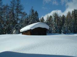 Hütte Strengen am Arlberg in Tirol